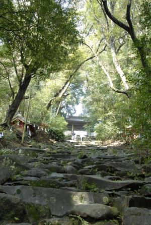 東霧島神社例大祭-7枚目-