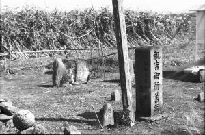 祝吉御所跡（整備前）