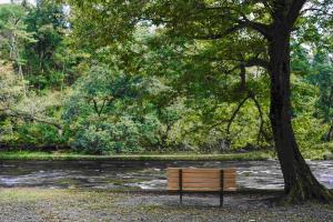 関之尾公園-6枚目-