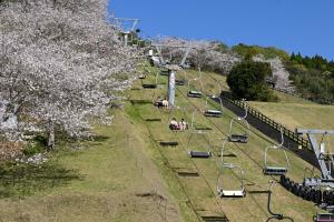 観音池公園-1枚目-