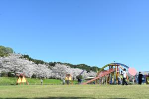 観音池公園-2枚目-