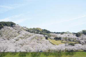観音池公園-3枚目-