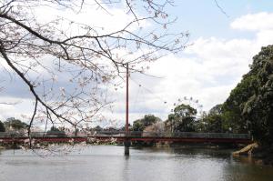 観音池公園-6枚目-