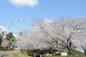 観音池公園-7枚目-