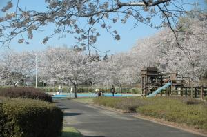 観音池公園-8枚目-
