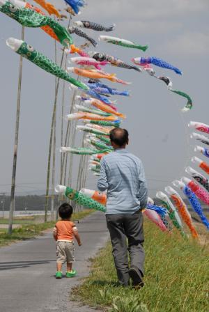 庄内川のこいのぼり-3枚目-