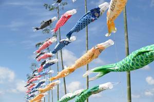 庄内川のこいのぼり-8枚目-