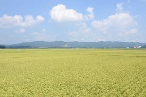 田園風景-5枚目-