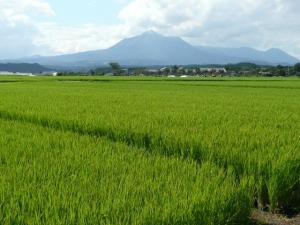 霧島山-13枚目-