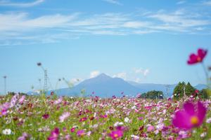 霧島山-14枚目-