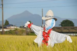 霧島山-17枚目-