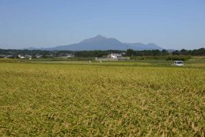 霧島山-29枚目-