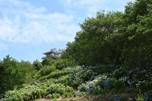 山之口あじさい公園-13枚目-