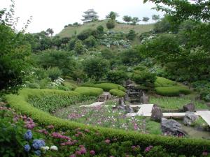 山之口あじさい公園-23枚目-