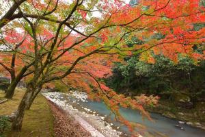 青井岳自然公園-3枚目-