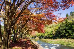 青井岳自然公園-4枚目-