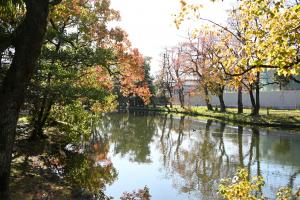 神柱公園-1枚目-