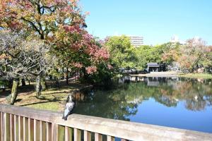 神柱公園-2枚目-
