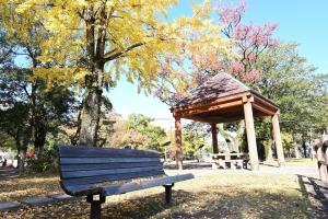 神柱公園-8枚目-