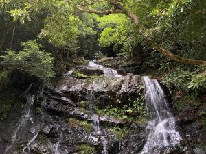 �X�̂߂���