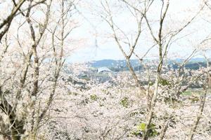 あじさい公園