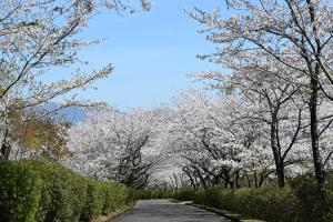 一堂ヶ丘公園