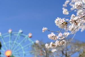 観音池公園