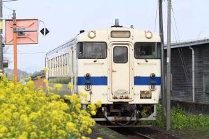 菜の花と吉都線