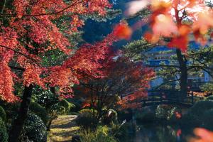 青井岳自然公園