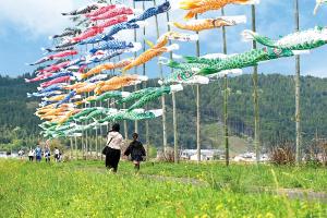 庄内川のこいのぼり