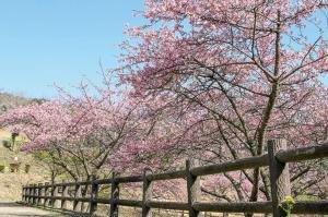 高崎総合公園