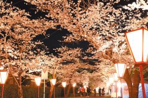母智丘公園