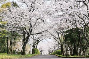 一堂ヶ丘公園
