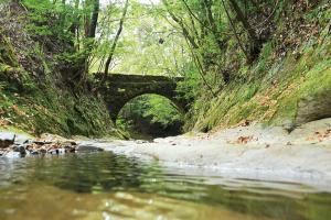 桂ヶ谷水路橋