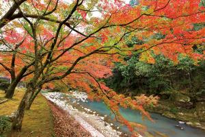 青井岳荘の紅葉