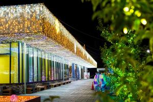 道の駅都城NiQLLイルミネーション-3枚目-