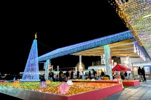 道の駅都城NiQLLイルミネーション-5枚目-