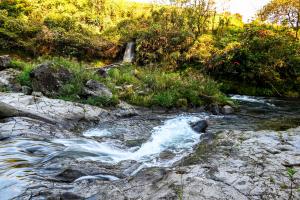 ごろが轟-1枚目-