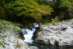 ごろが轟-3枚目-