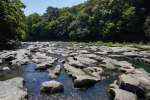 関之尾公園-17枚目-
