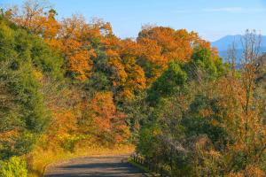 高崎総合公園-4枚目-
