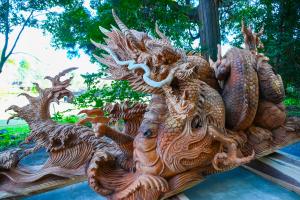 東霧島神社の龍神木-2枚目-