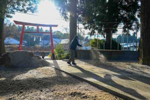 シラスまき(2026年)