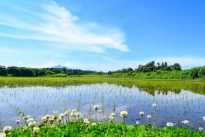 田園風景-8枚目-