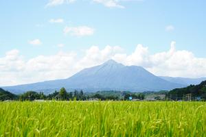 広報都城令和7年10月号届けたい都城の風景「夏の田園と霧島山」の写真